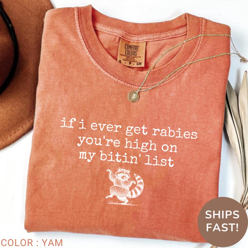 Gift Idea for Raccoon Fan, Vintage Sassy Shirt, Fun Quote T-Shirt, Funny Animal Humor Top, Cool Wildlife Tee, Unique Humor Gift Shirt, Raccoon Design Comfort Colors, Animal Comfort Colors Tee, Fun Comfort Colors Graphic, Graphic Tee Humor Saying, Animal Comfort Colors Clothing, Funny Raccoon Drawing Tee, Comfort Colors T-Shirt Humor, Animal Comfort Colors Top, Cool Funny Graphic Shirt, Wildlife Humor Graphic, Funny Comfort Colors Apparel, Cute Funny Comfort Colors Top
