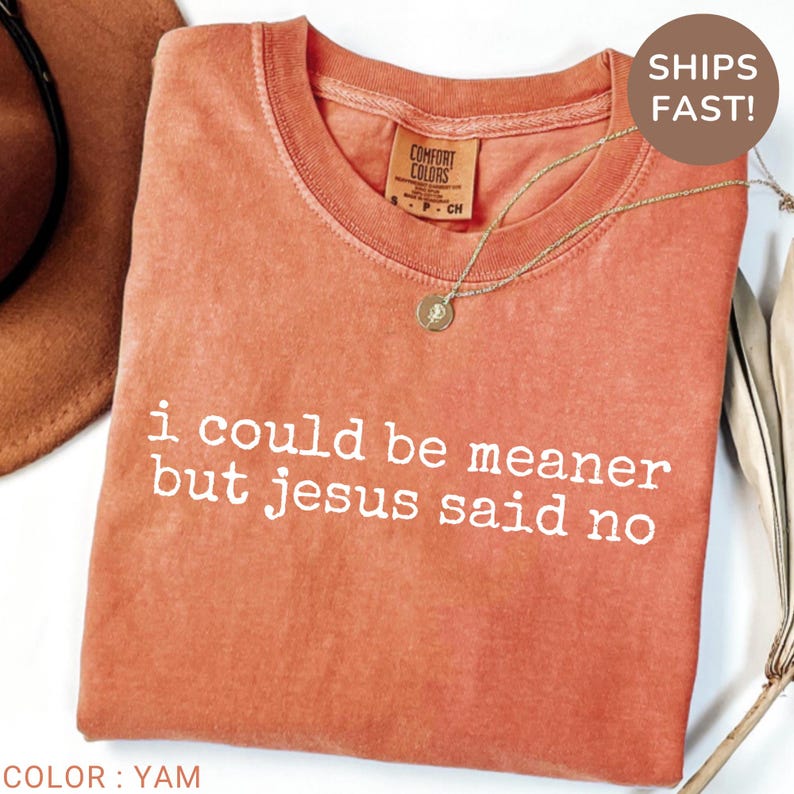 May include: A coral-colored t-shirt with the text "i could be meaner but jesus said no" in white. The shirt has a crew neck and a small tag. A gold necklace with a pendant is draped across the shirt.