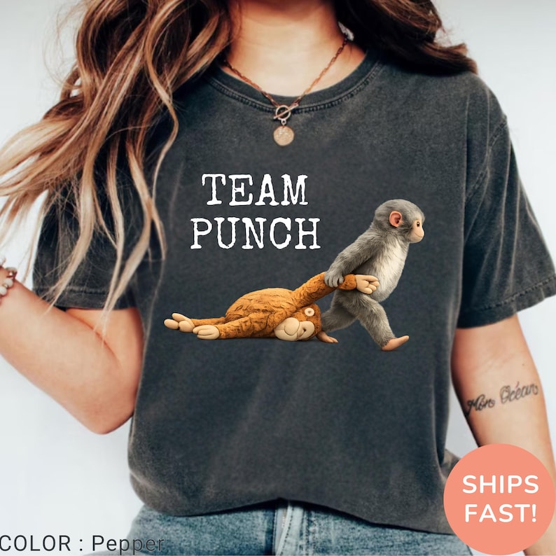 May include: Dark gray t-shirt with the text "TEAM PUNCH" in white. The graphic shows a gray monkey pulling a brown monkey by the arm. The shirt is a casual style.