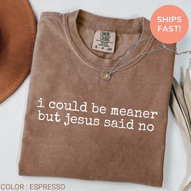 May include: Espresso-colored t-shirt with the text "i could be meaner but jesus said no" in white. The shirt has a crew neck and short sleeves. A silver necklace with a pendant is draped on the shirt.