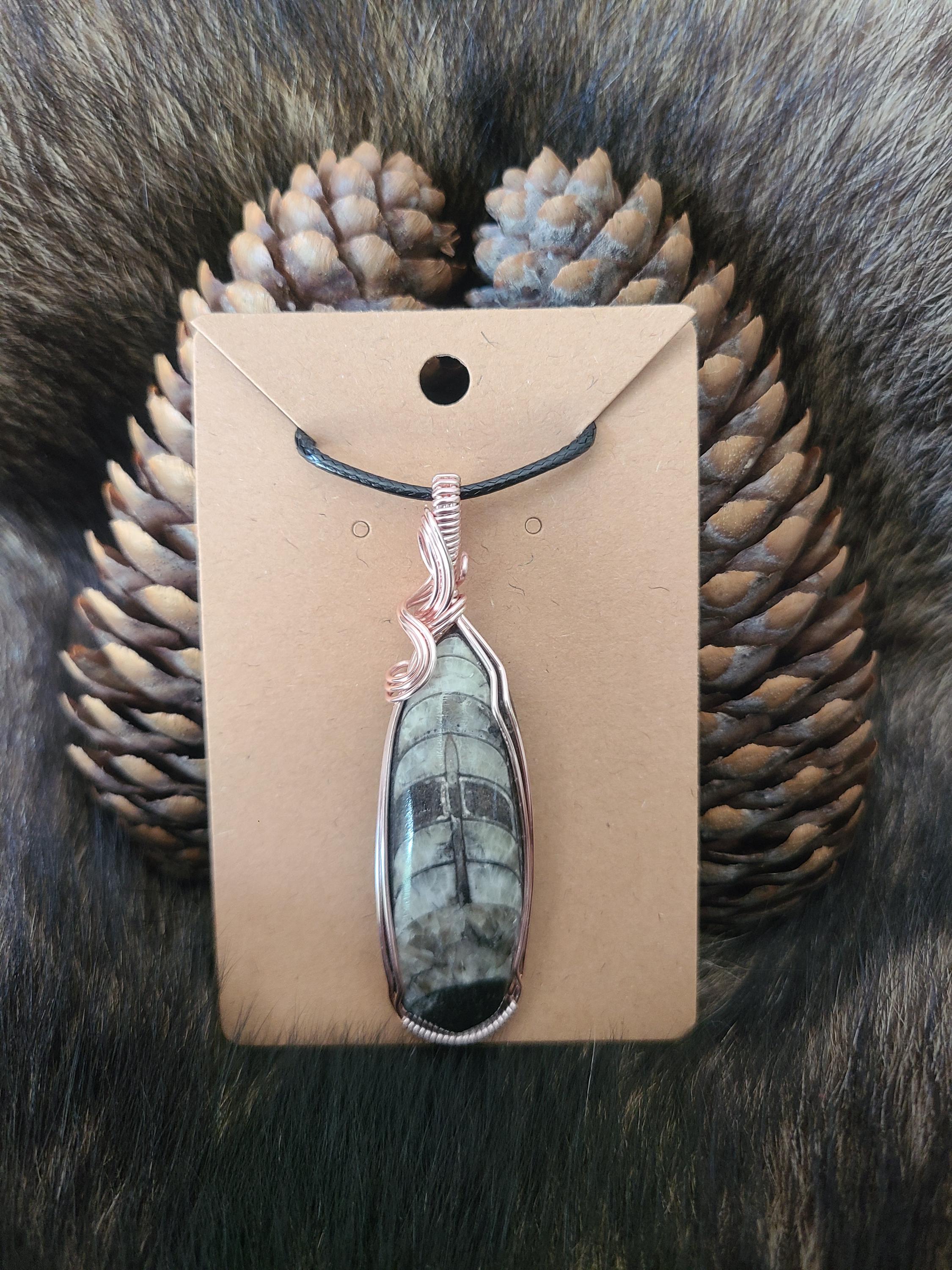 Orthoceras Fossil Wire Wrapped Pendant Necklace