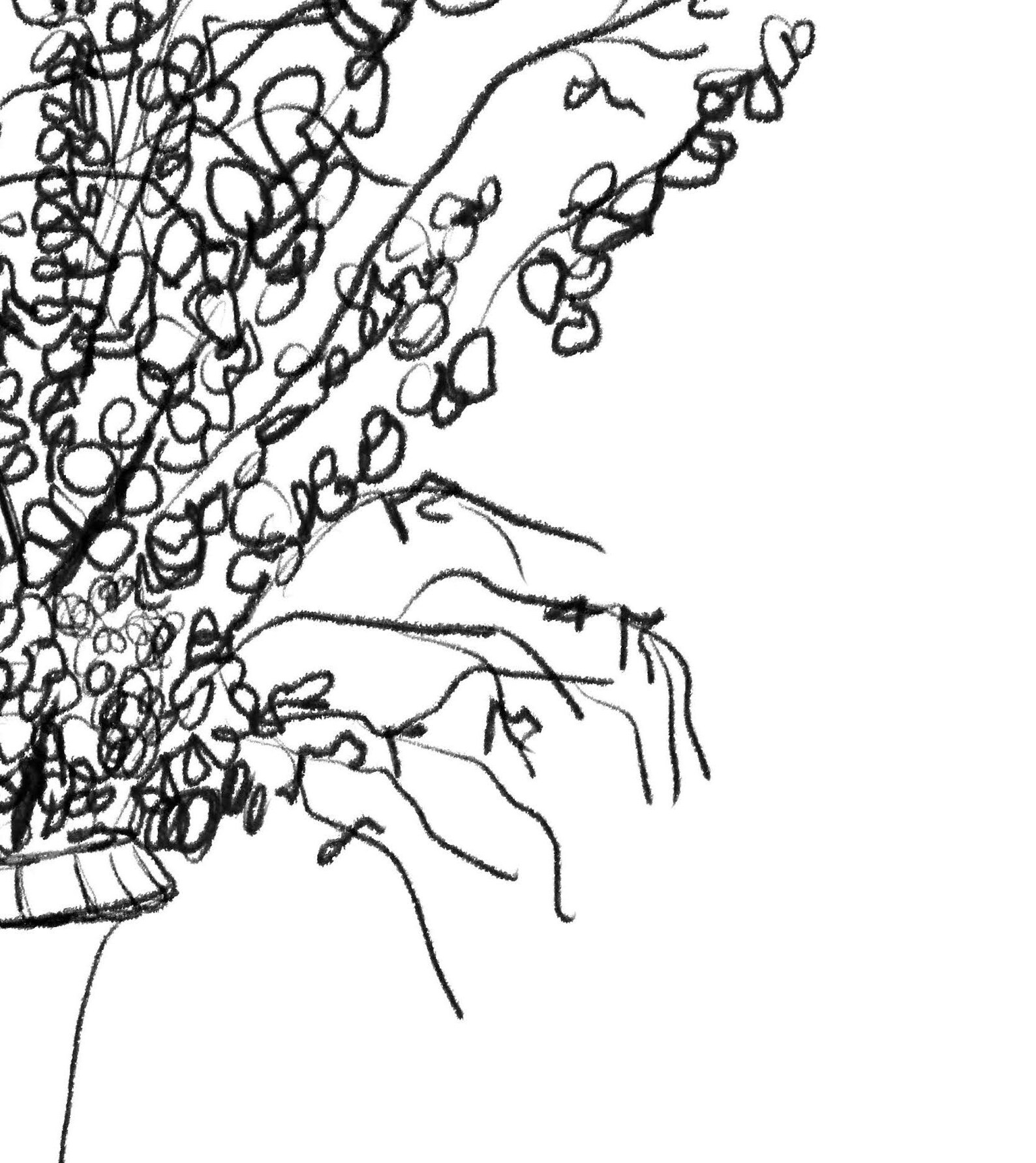 Flower Line Drawing Flower Vase Sketch Floral Sketch Wall Etsy