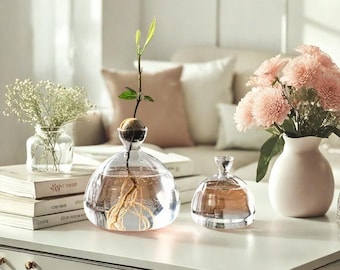Jarrón de vidrio transparente para sembrar aguacate, juego de 2, kit para cultivar semillas, ideal para amantes de la jardinería y decoración del hogar.