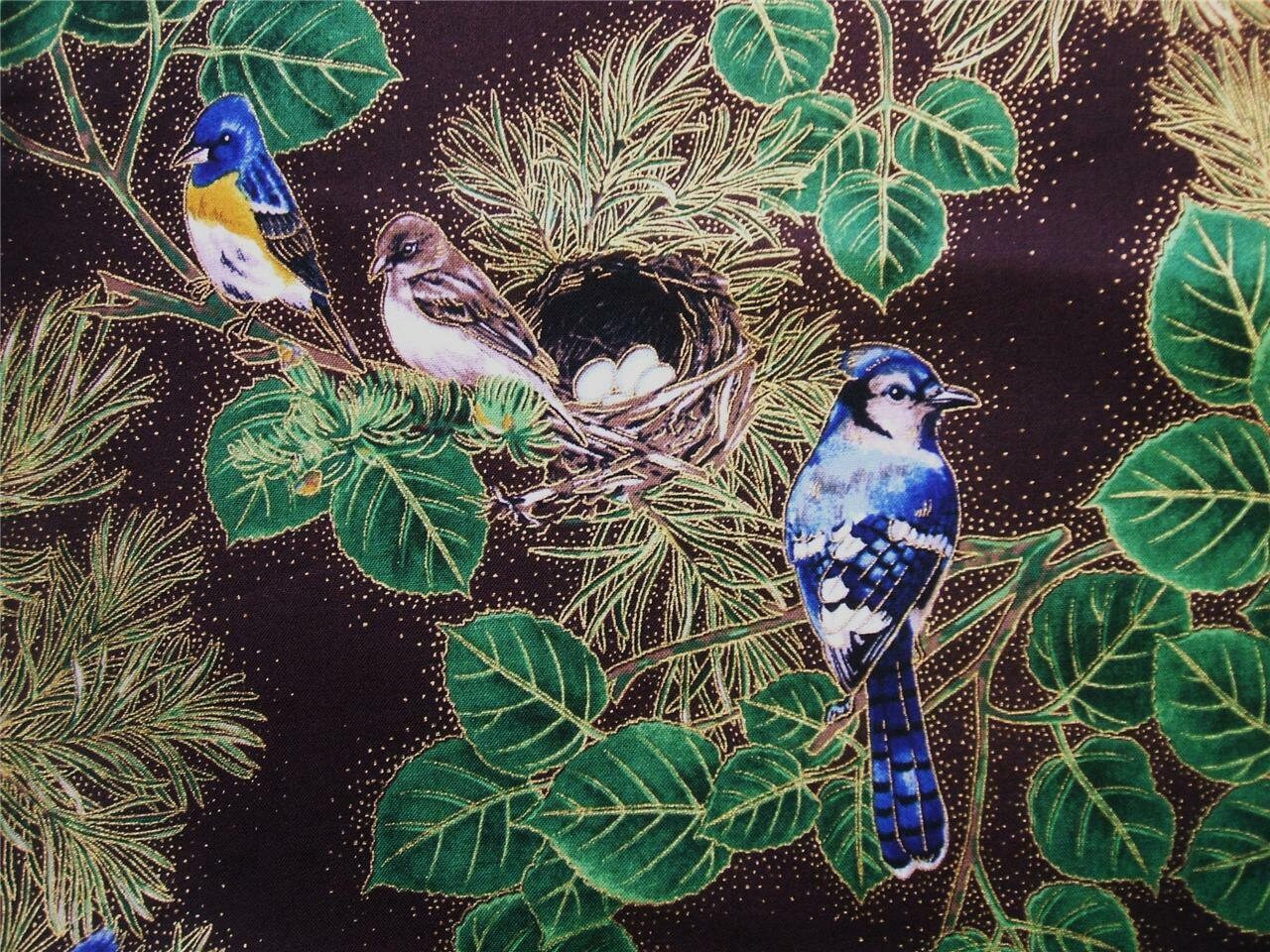 Bird Blue Jay Nest Hoffman Aspen Creek Pine Brown Gold Fabric Etsy Bird Blue Jay Nest Hoffman Aspen Creek Pine Brown Gold Fabric Etsy