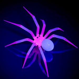 Araña de vientre azul grande y brillo rosa - Escultura de figura de vidrio