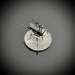 Op de afbeelding: Een gedetailleerde, zwart-witte insectensculptuur met transparante vleugels, geplaatst op een Amerikaanse kwart dollar. Het insect heeft lange, gesegmenteerde poten met witte strepen. De details van de kwart dollar zijn zichtbaar.