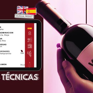 Modèle technique Vins rouges par méthode de production | Modifiable sur Canvas | PDF espagnol + anglais | pour les entreprises viticoles.