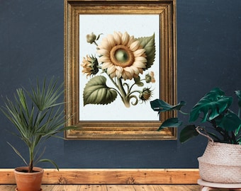 Antique Sunflower Botanical Print, Vintage Floral Wall Art, Pastel Sunflower Illustration, Shabby Chic Decor, Cottagecore Home Decoration
