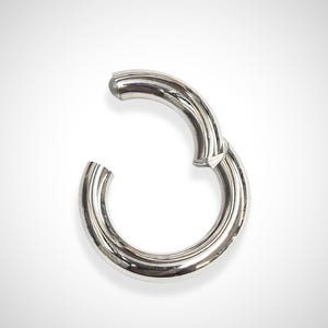 Titanium Hinged Segment Ring: Large Gauge Septum, Nose Piercing