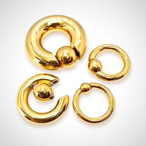 Titanium Gold Prince Albert Ring: Captive Bead Hoop (2G to 00G)