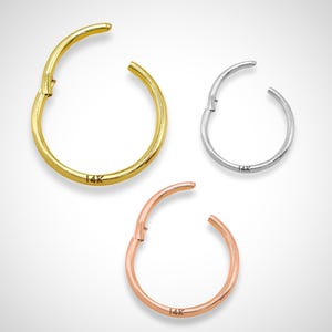 Septum Clicker Ring Creolen Handmade 14K Gold Körperschmuck 20G 18G 16G 14G Segment Klapp Nasenring - Erhältlich auch in Weiß und Rosegold
