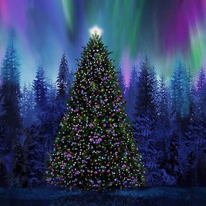May include: A decorated Christmas tree stands tall in a snowy forest under a vibrant display of the Northern Lights. The aurora borealis shines in shades of purple, green, and blue.