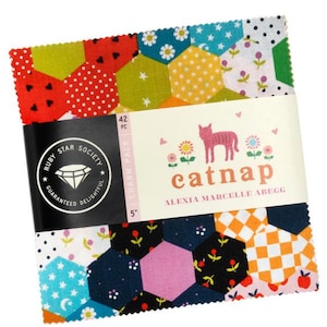 Könnte beinhalten: Ein Pack mit 42 Charm-Quadraten mit einer Größe von 5 Zoll, die eine Vielzahl von bunten Stoffen mit geometrischen Mustern und Blumendesigns zeigen. Das Pack heißt "Catnap" von Alexia Marcelle Aregg und stammt von der Ruby Star Society.