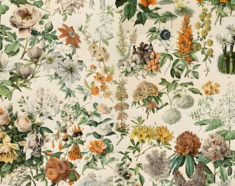 Orange Palette by Tim Holtz Botanical PWTH237.Orange | Priced by the Half Yard