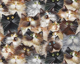 Cat Pack Wide Back by Windham Fabrics 54281W-1DES | Priced by the Half Yard