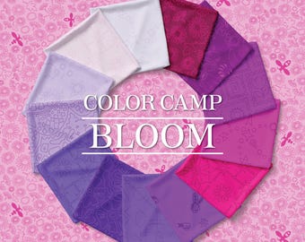 Pre-Order: Bloom Color Camp Half Yard Bundle by Alison Glass for Andover -September 2026