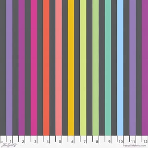 Tula Pink Graywork Fabric | Disco Stripe Rainbow on Carbon (Half Yard)