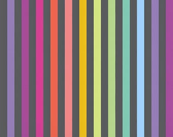 Tessuto Tula Pink Graywork / Disco Stripe Rainbow su carbone (mezzo metro)