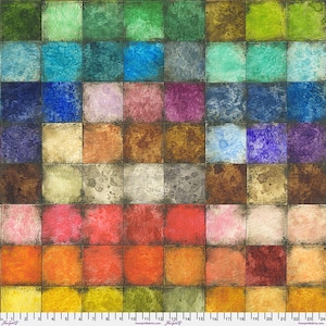 Colorblock Canvas by Tim Holtz for Free Spirit CCTH010 | Priced/Sold in Half Yard Increments