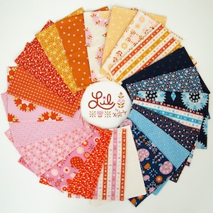 Lil Fat Precut Quarter Bundle by Kimberly Kight for Ruby Star | RS3053FQ | 22 Prints