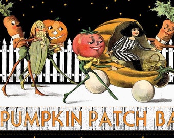 Preorder: Pumpkin Patch Barn Dance Border Stripe in White by J. Wecker Frisch  CD14573 White Priced by the Half Yard Expected Apr 2024