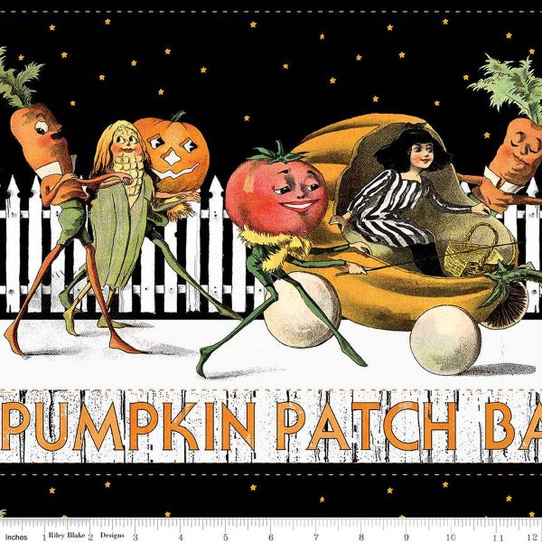 Preorder: Pumpkin Patch Barn Dance Border Stripe in White by J. Wecker Frisch  CD14573 White Priced by the Half Yard Expected Apr 2024