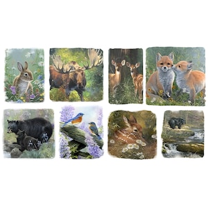 3 Wishes New Beginnings Patch Panel Forest Animals by Abraham Hunter RN 118678 (24" x 44" • 32 patches of different sizes)