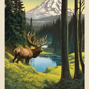 Nationale parken Mount Rainier National Park-paneel 16133 | Paneelgrootte = 36&quot; x 43&quot;