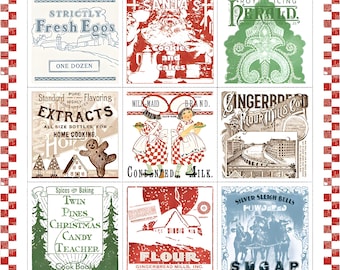 Reserva: Panel grande de tela con forma de saco de harina de pan de jengibre PD17841 de J. Wecker Frisch - 91,4 cm x 109,2 cm - Riley Blake - Junio de 2026