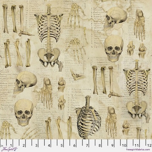 Laboratory Anatomy Canvas CCTH011 Neutral by Tim Holtz for Free Spirit | Sold by the Half Yard