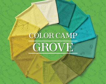 Pre-Order: Grove Color Camp 21 Fat Quarters Bundle by Alison Glass for Andover -August 2026