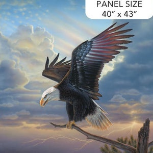 Winged Glory Eagle  Panel by Northcott 40" x 44" 2.2023