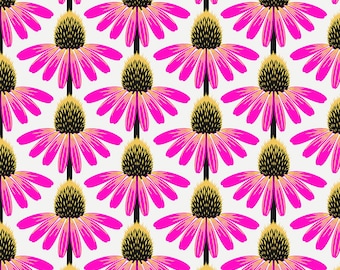Preorder: Echinacea - True || Love Always, AM 2 (cone flower) PWAH075.TRUE