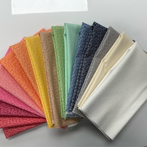 Confezione di piccoli quarti di tessuto a quadretti Hashtag di Riley Blake Fabrics, 15 pezzi