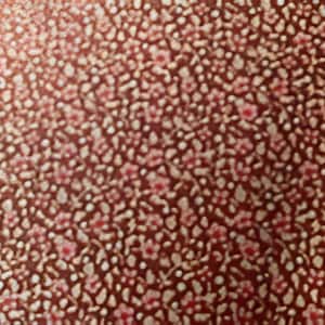 Peut inclure: Gros plan sur un tissu avec un motif floral répétitif. Le motif présente de petites fleurs roses et des points blancs dispersés sur un fond brun foncé. Le motif est dense et crée un aspect texturé.