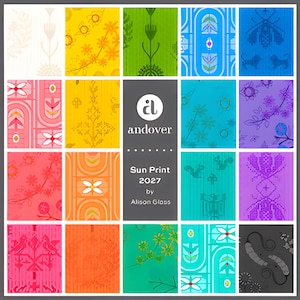 Pode incluir: Uma grade de vinte amostras de tecido com vários padrões em branco, amarelo, verde, azul, rosa, laranja, roxo e cinza. Um painel central cinza escuro exibe o texto: andover, Sun Print 2027, by Alison Glass.