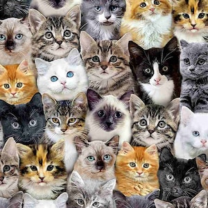 Packed Mixed Breeds of Cats C8417  by Timeless Treasures Fabrics Priced/Sold by the Half Yard