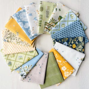 Potager Precut Fat Quarter Bundle by Sharon Holland for Art Gallery Fabrics | 16 Prints