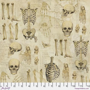 Laboratory Anatomy Cotton in Neutral PWTH181.neutral by Tim Holtz for Free Spirit | Sold by the Half Yard