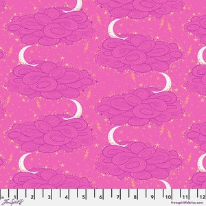 Storm Clouds - Oleander || Nightshade (Déjà Vu) by Tula Pink PWTP208.OLEANDER | Priced by the Half Yard