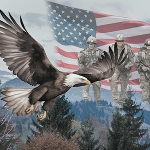 May include: An illustration featuring a bald eagle in flight, with the American flag waving in the background. Three soldiers in camouflage uniforms stand behind the flag. The eagle is brown and white, with a white head and a yellow beak and talons.