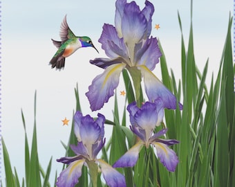 Iris and Hummingbird 6