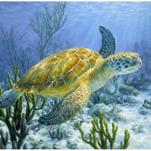 Ancient Mariner ~ Sea Turtle, Ocean Quilt Panel ~ 36&quot; David Textiles Fabric Panel