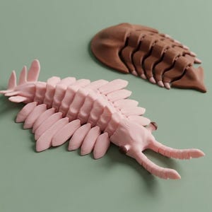 Puede incluir: Dos modelos impresos en 3D de trilobites, uno en rosa claro y otro en marrón, se muestran sobre una superficie verde claro. El trilobite rosa está en primer plano, con segmentos y apéndices detallados. El trilobite marrón está en el fondo.