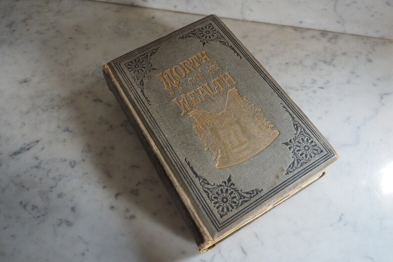 Antique Book Worth and Wealth by T.L. Haines Published Etsy