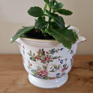 May include: A white ceramic planter with two side handles and a gold rim, featuring a colorful chinoiserie pattern of pagodas, flowers, and birds. A green succulent plant with serrated leaves is potted inside the decorative vessel.