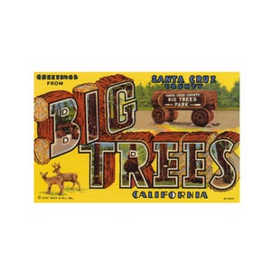 Saudações de Big Trees California Postcard Art, Big Trees Vintage Postcard Print, Big Trees Postcard Printable Digital Download