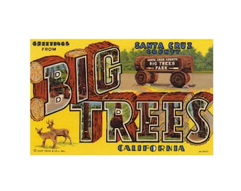 Postales de California con saludos desde los grandes árboles, impresión vintage de postales de los grandes árboles, descarga digital imprimible de postales de los grandes árboles