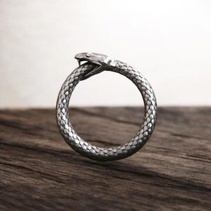 Ouroboros Schlangen Ring: Mystischer Infinity Schmuck (Sterling Silber)