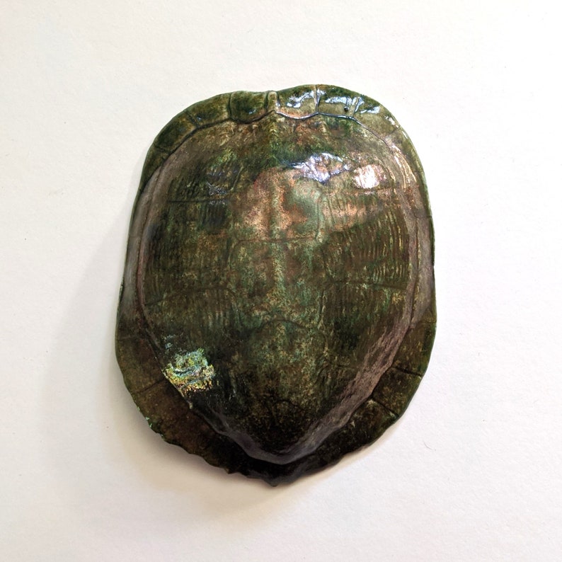 Turtle Shell Ceramic Wall Art 6.5 | Etsy
